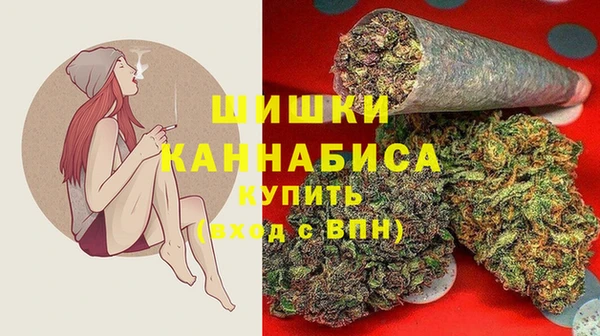 PSILOCYBIN Баксан